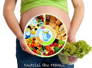 asupan gizi ibu hamil asupan gizi ibu hamil