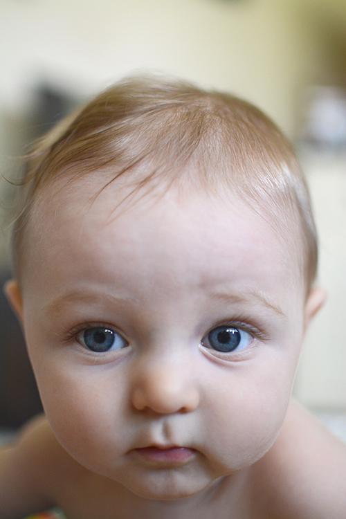 Ellis James, Baby Update - Six Months | My Darling Days Ellis James, Baby Update - Six Months | My Darling Days