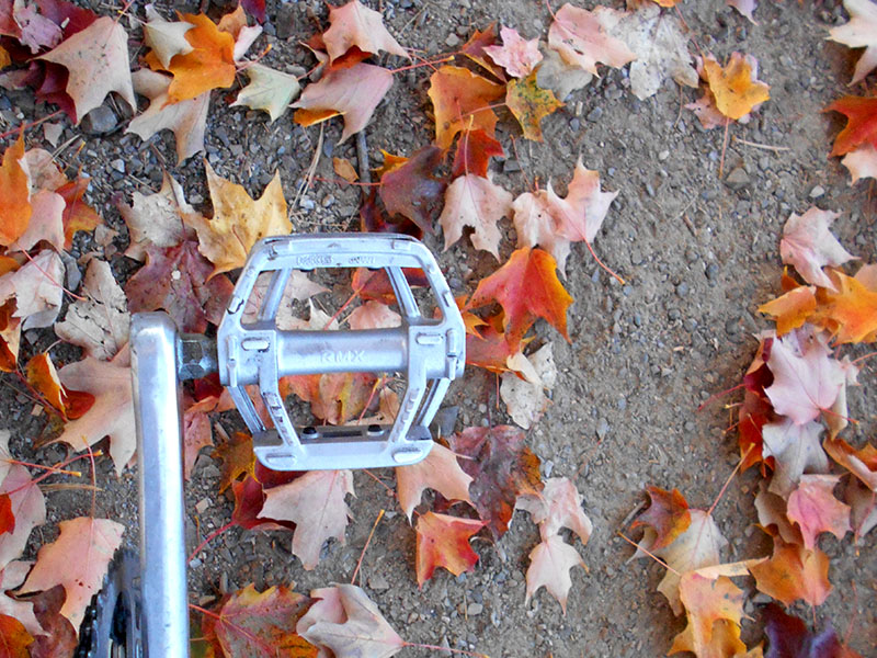 anniebikes Platform Pedals A Cure for Knee Pain?