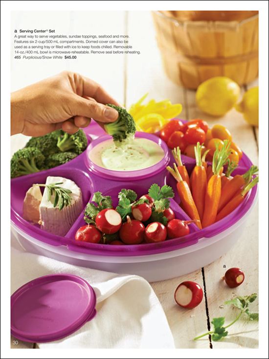 Tupperware Online Store Serving Container Set