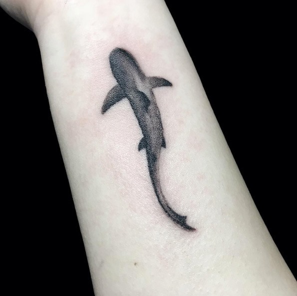 Tatuagens de tubarões Tatuagens de tubarões