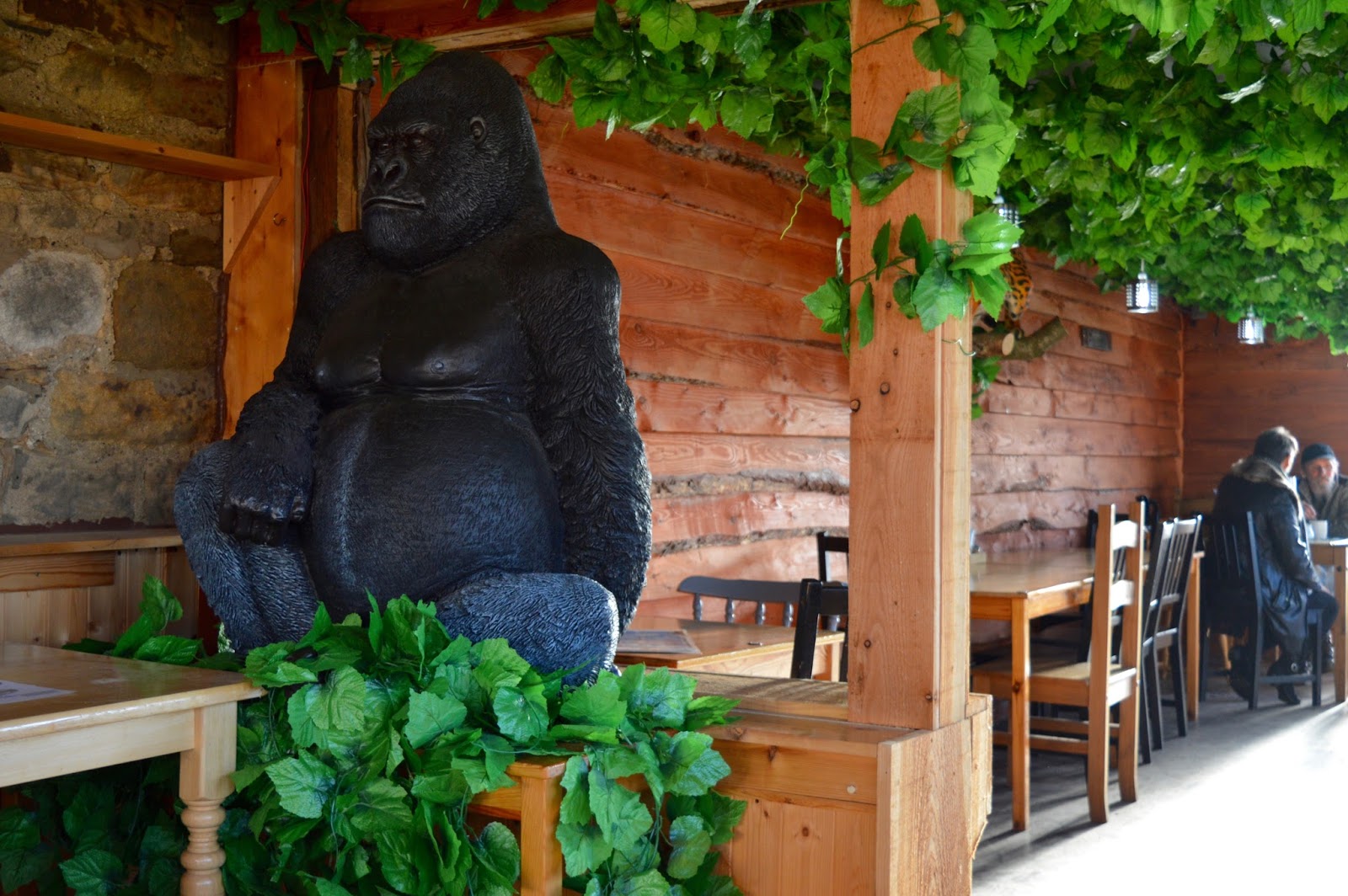 Northumberland Country Zoo Review North East Family Fun