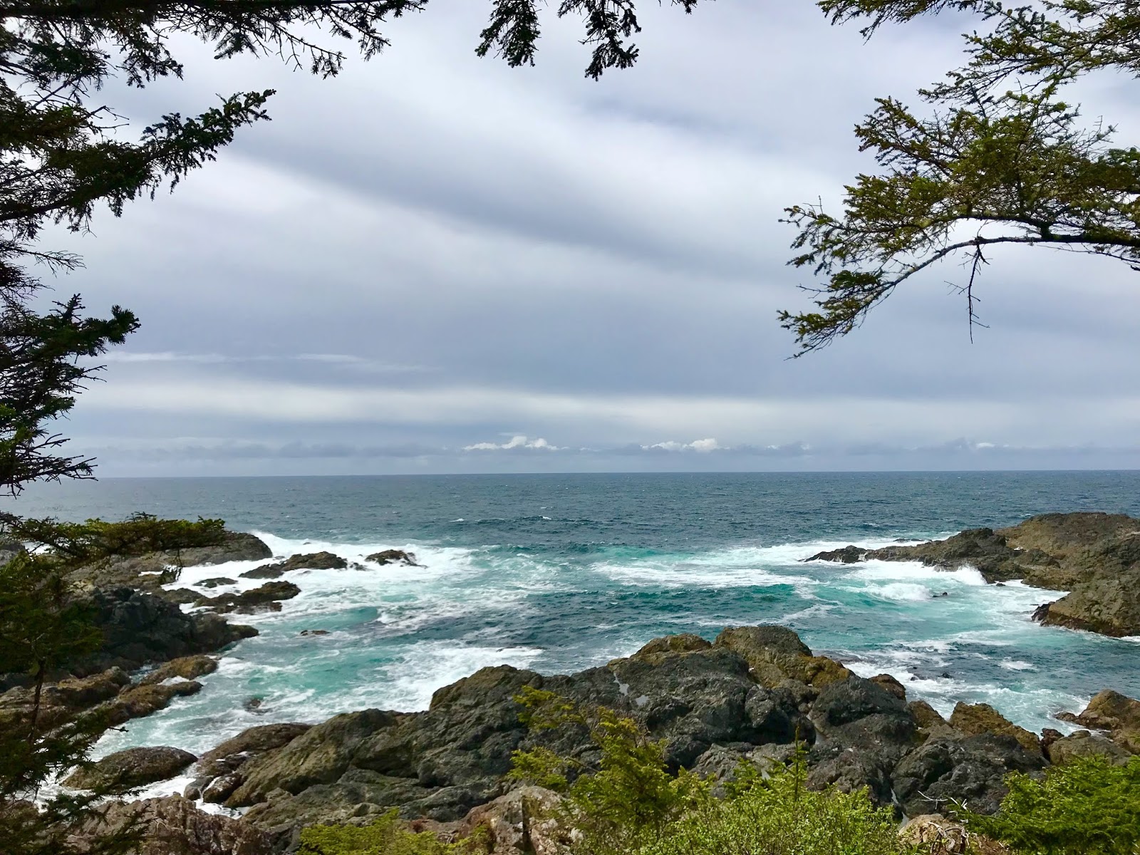 Margy Meanders: Tofino and Ucluelet, BC