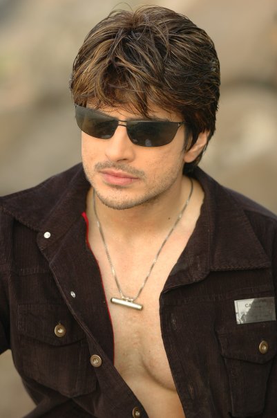 Dare to bare : Hot Indian TV Actors : Rahil Azam