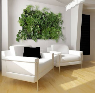 indoor plant care and maintenance Billerica MA;