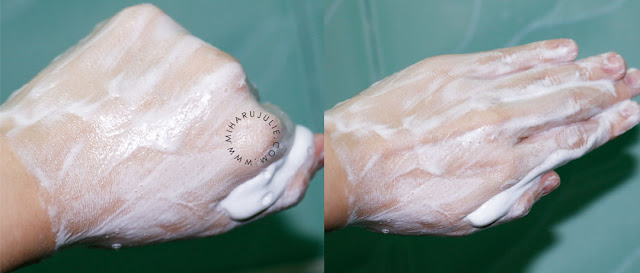 Senka Shiseido Perfect Whip Cleansing Foam Review