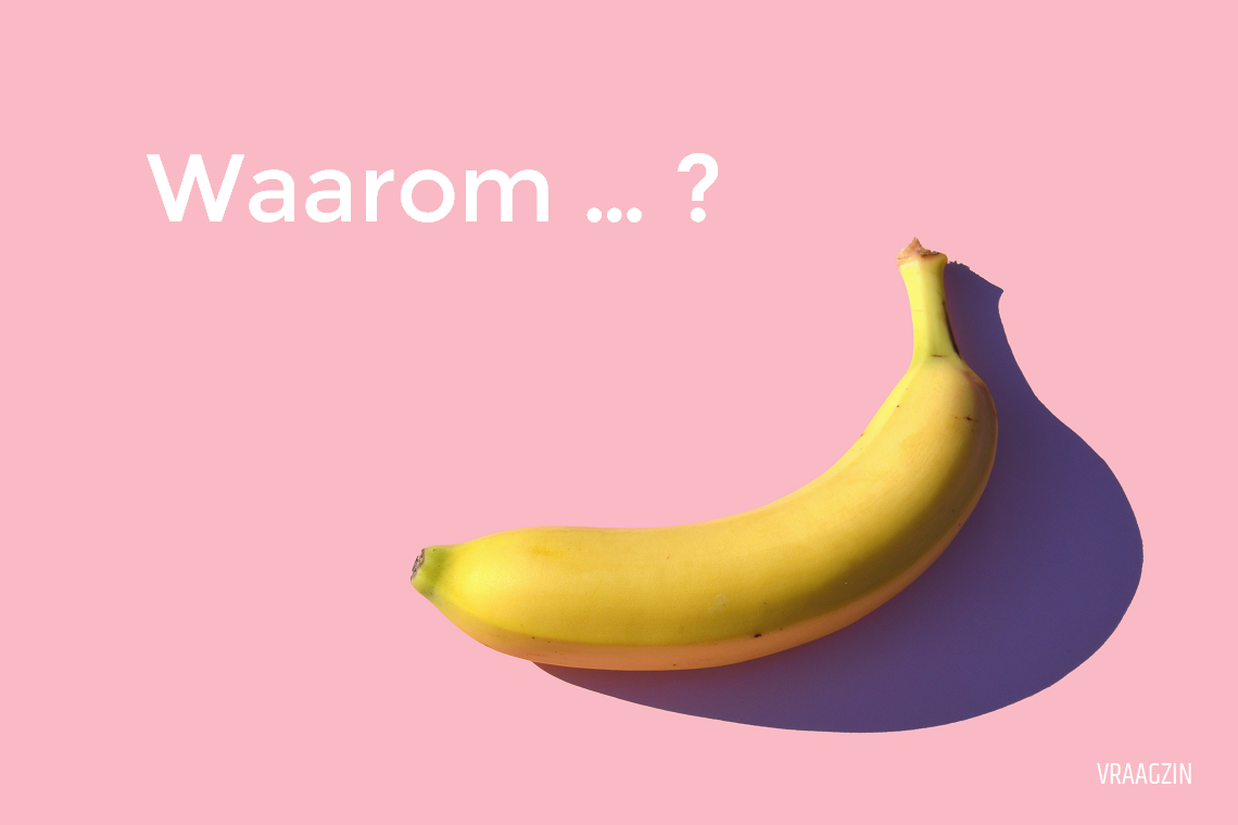 Waarom%2Bvragen.png