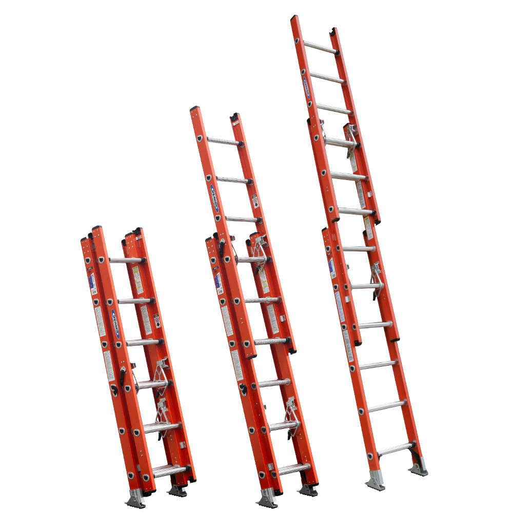 Bird Ladder and Scaffolding Safety Blog