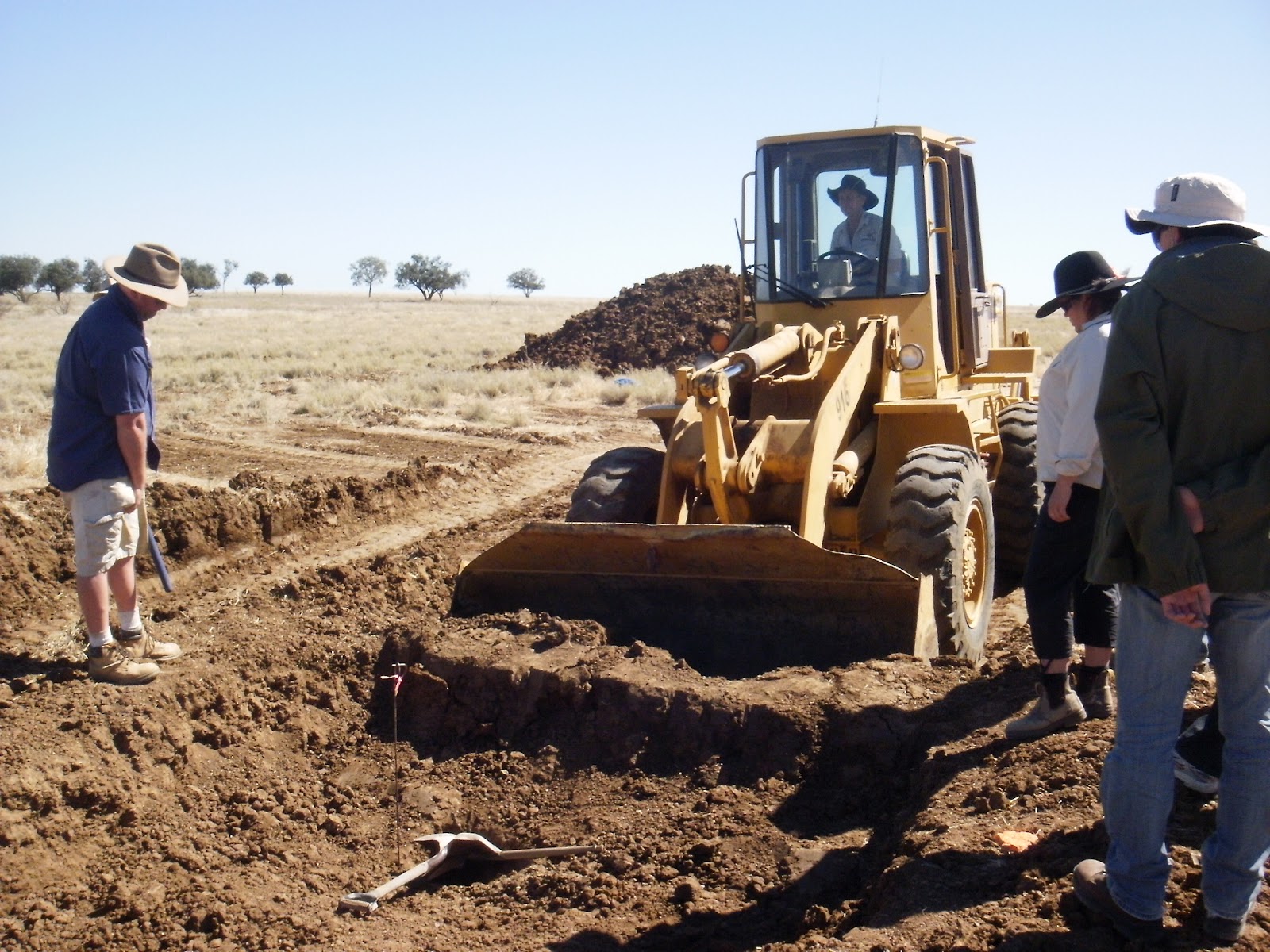 bone digging