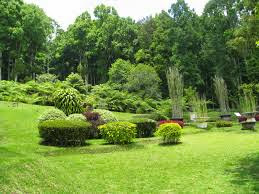 Kebun Raya Eka Bali http://www.kabarloka.com/2014/08/objek-wisata-bedugul-bali.html