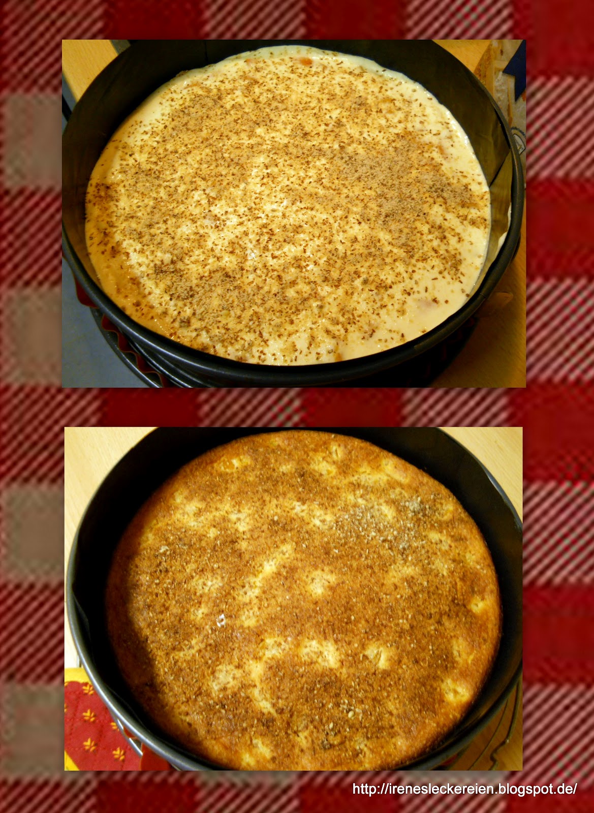 Irène`s Leckereien♥: Käsekuchen mit Aprikosen ohne Boden