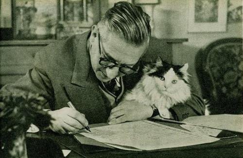 Jean Paul Sartre ve Kedisi Nothing