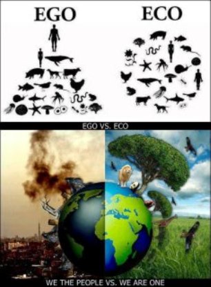 EGO vs ECO