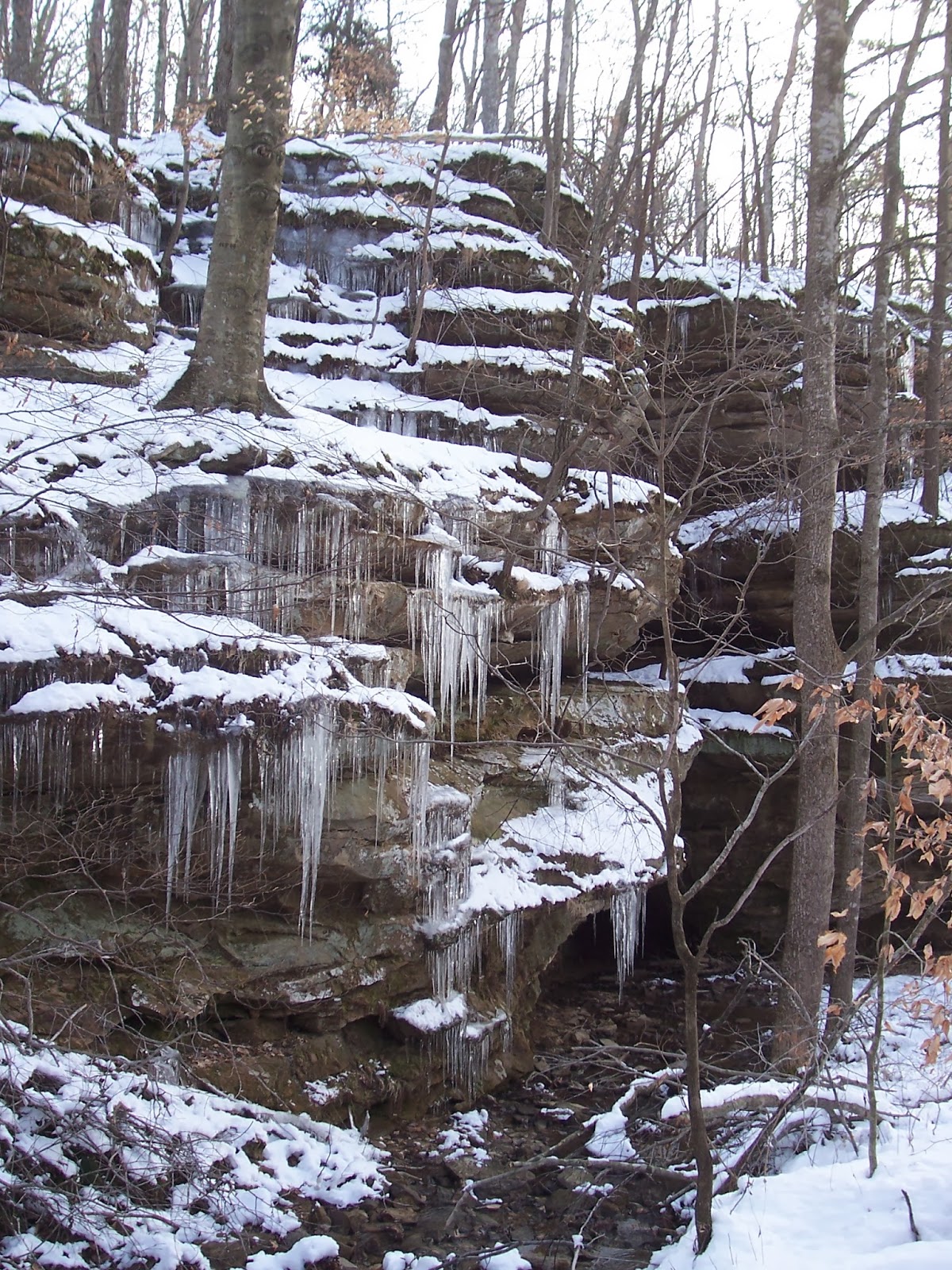 Pennyrile Forest State Resort Park's Naturalist & Recreation Blog