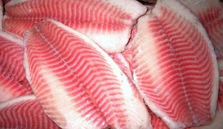 jual bibit ikan kakap air tawar,jual bibit ikan kakap merah,budidaya ikan kakap di kolam,jual benih kakap putih,pembenihan ikan kakap,jual bibit kakap putih air tawar, jual bibit ikan kakap air tawar,jual bibit ikan kakap merah,budidaya ikan kakap di kolam,jual benih kakap putih,pembenihan ikan kakap,jual bibit kakap putih air tawar,