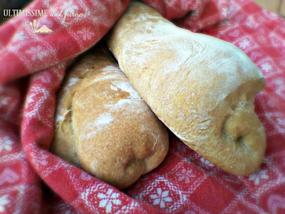 FILONE DI PANE SEMI INTEGRALE ALLO YOGURT CON LA BIGA...IL MONDO CHE ...