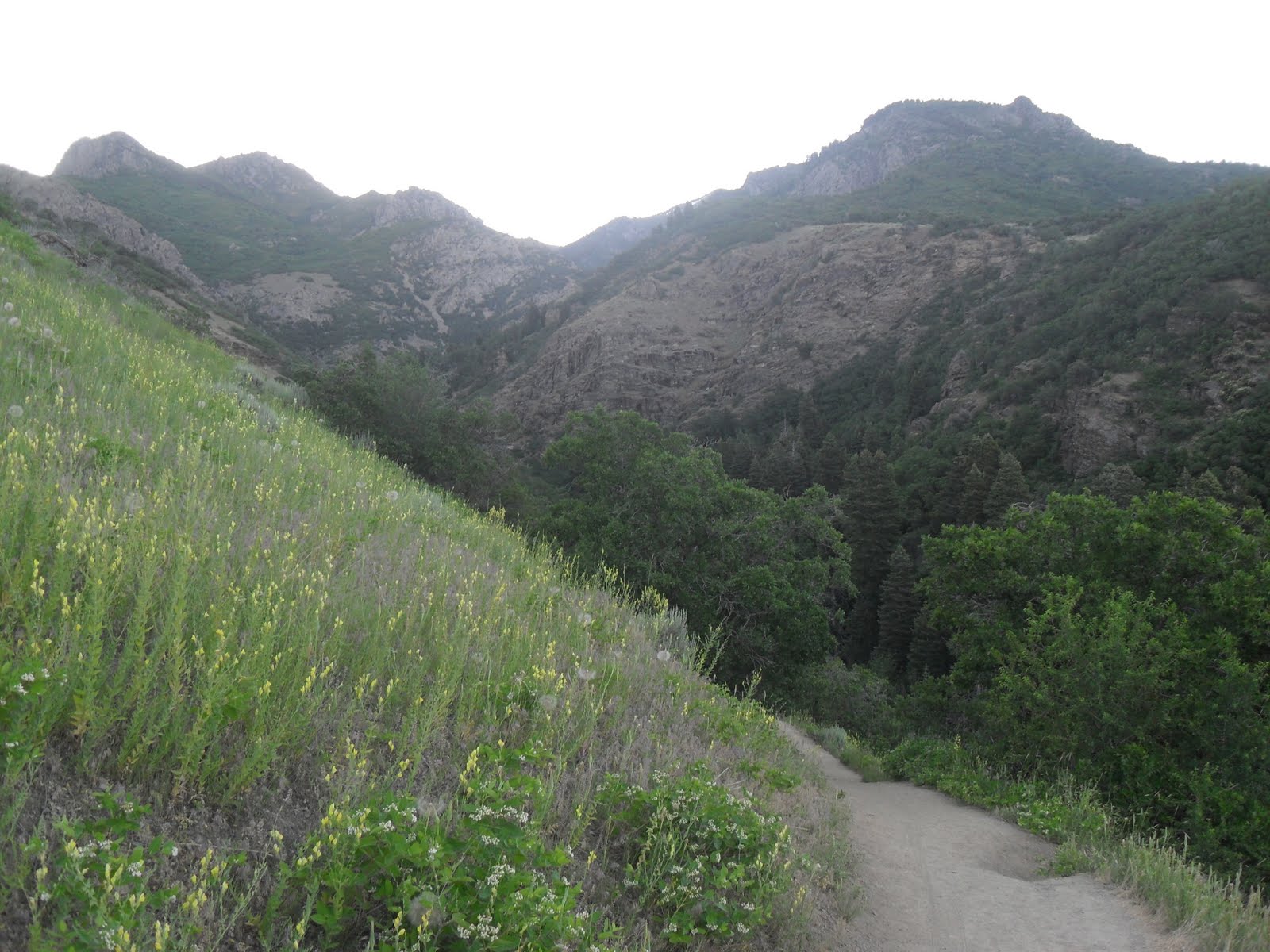 Scott's Twisted Travels Adams Canyon Waterfall