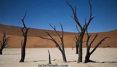منطقة سوسوسفلي في صحراء ناميب