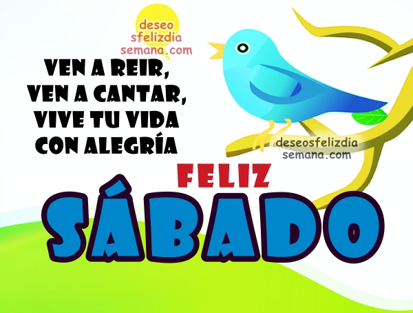 Sabemos que Dios va preparando todo para el bien de los que lo aman, es decir, de los que él ha llamado de acuerdo con su plan.
