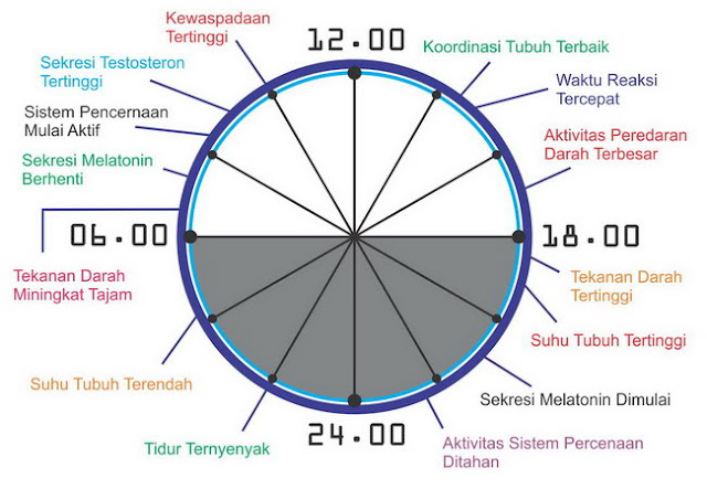 Inilah Manfaat LUAR BIASA, Berjalan Tanpa Alas Kaki Inilah Manfaat LUAR BIASA, Berjalan Tanpa Alas Kaki