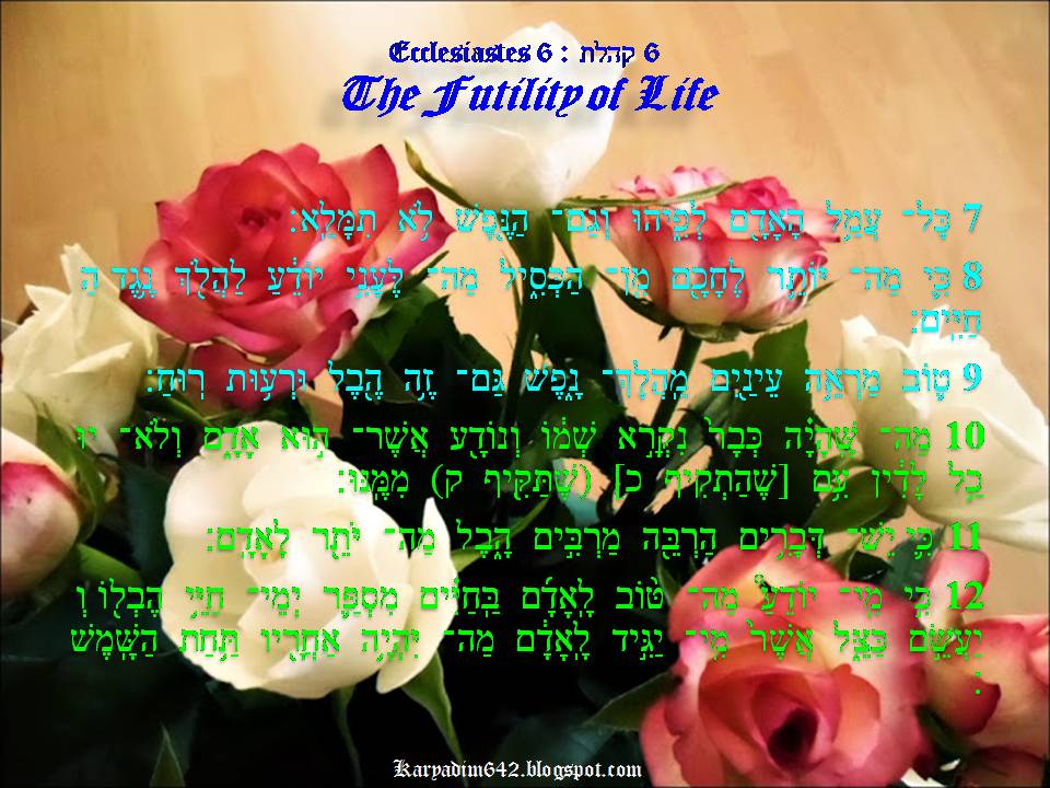 SENI MEMBENTUK GAMBAR Ecclesiastes 6 6 The Futility Of Life