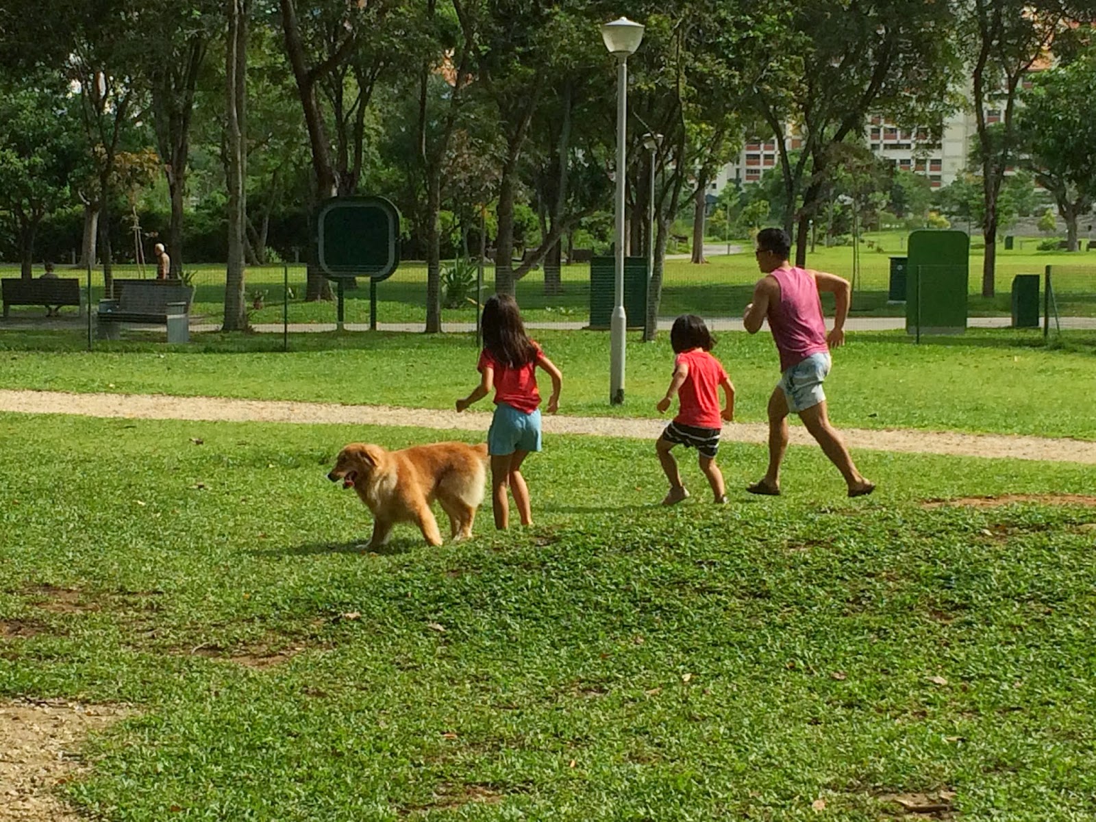 Raising Our Successful Children, Singapore Mom Blog Dog Run at Bishan Park
