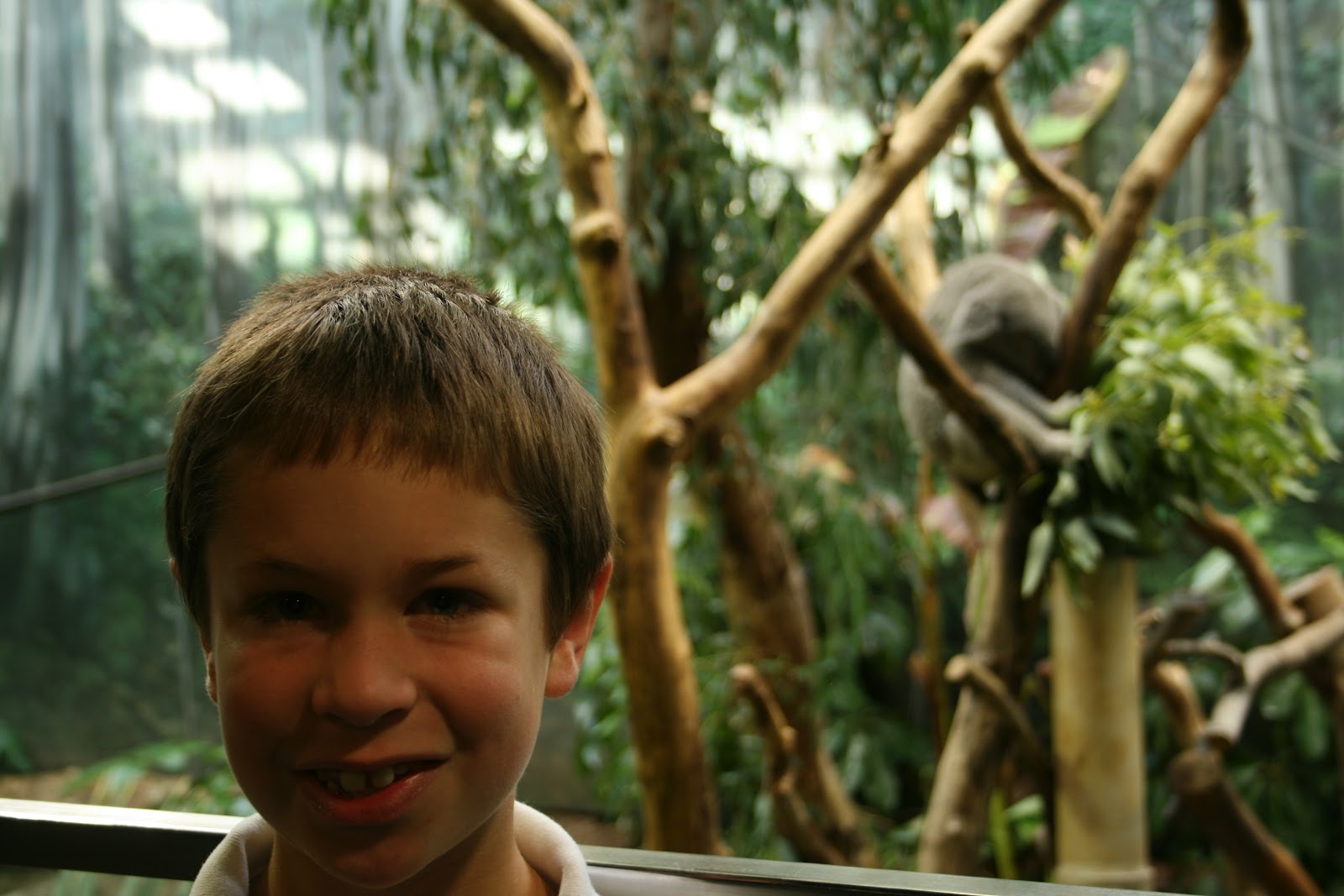 The Simpson Six Cleveland Trip Days 3 The Zoo 