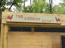 chicken coop inexpensive