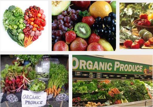  Organic Food