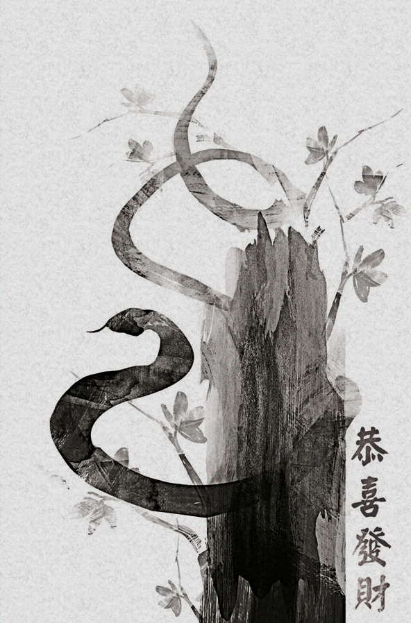 Reno Portfolio: Chinese Water Snake - Danamon