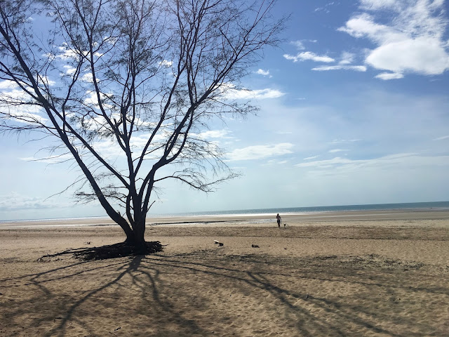 Lee Point Beach, Darwin