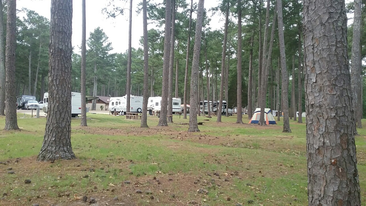 We Would Rather Be Camping! Persimmon Hill Campground at Enid Lake MS