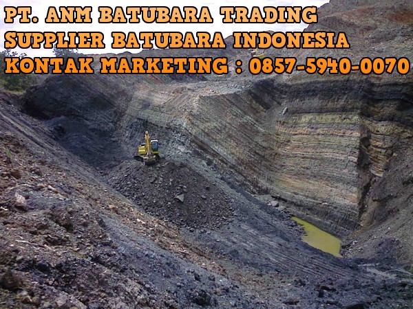 Harga batu bara bulan januari 2015 Harga batu bara bulan januari 2015
