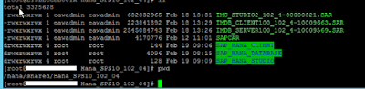 SAP HANA REVISION UPDATE – SPS10