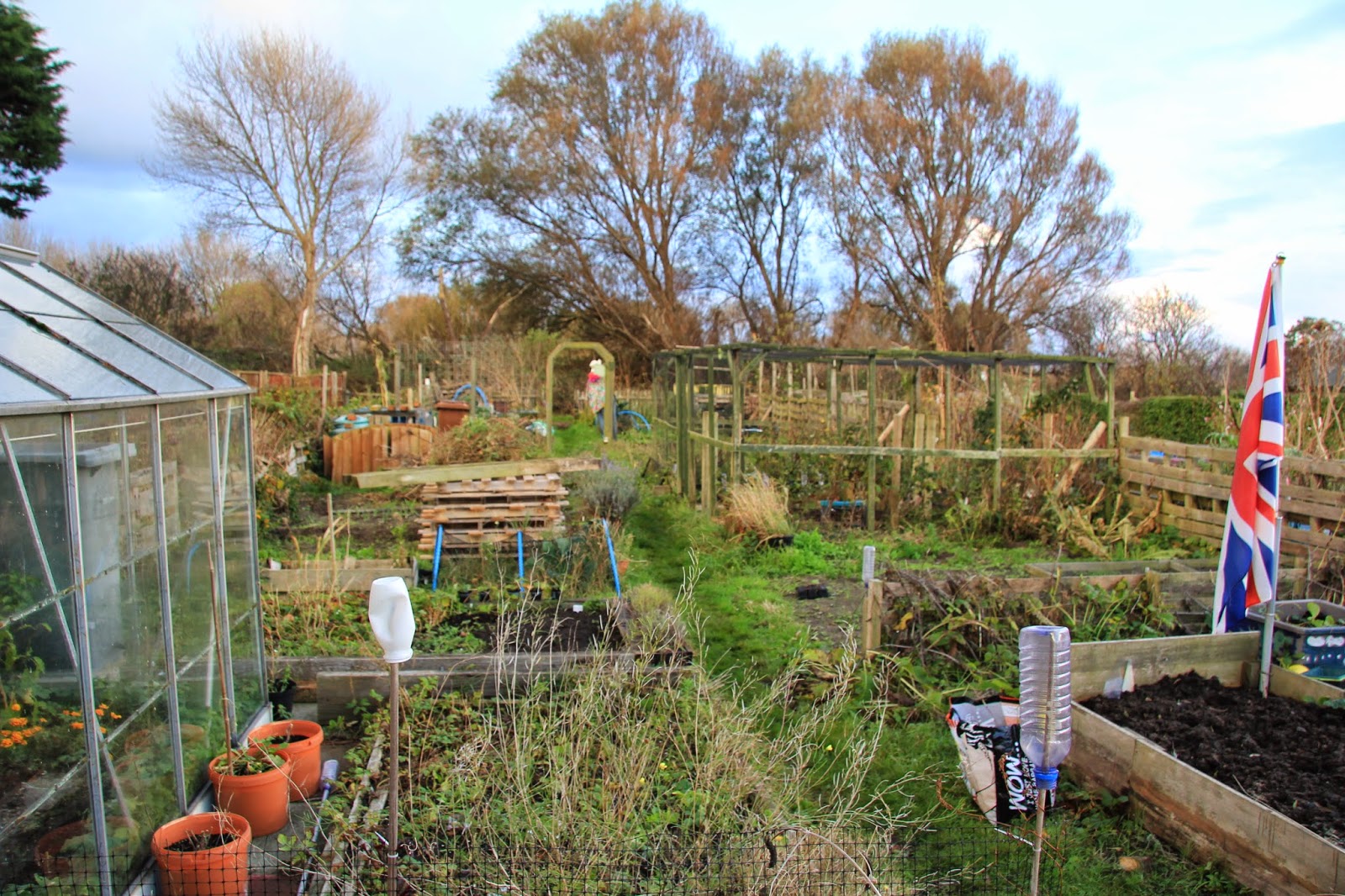 Allotment #65: Raspberry supports in finally