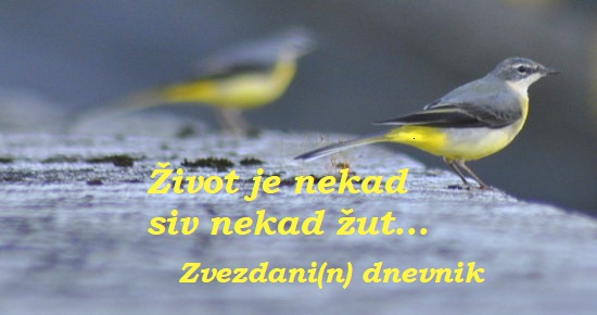 zivot je nekad siv nekad zut