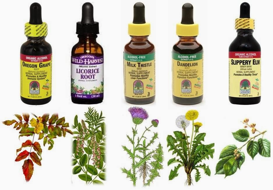 Natural Remedies Acid Reflux In Dogs Natural Remedies Acid Reflux In Dogs