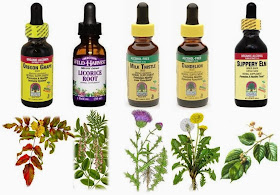 Natural Remedies Acid Reflux In Dogs Natural Remedies Acid Reflux In Dogs