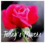 http://flowersfromtoday.blogspot.com/