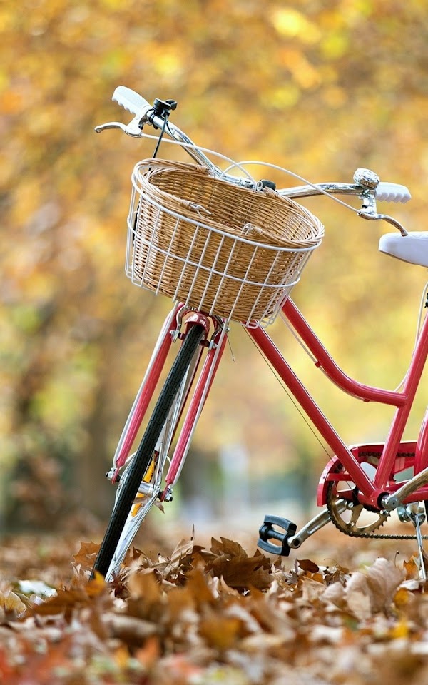 Autumn Landscape Red Bicycle  Galaxy Note HD Wallpaper
