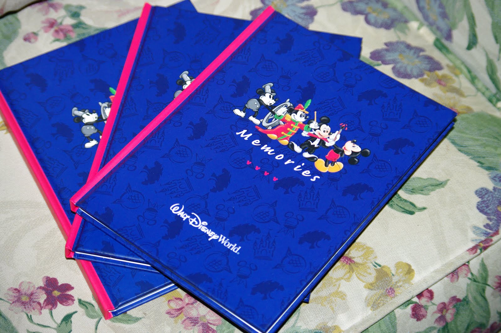 DISNEY TRIP REPORTS visual data 7