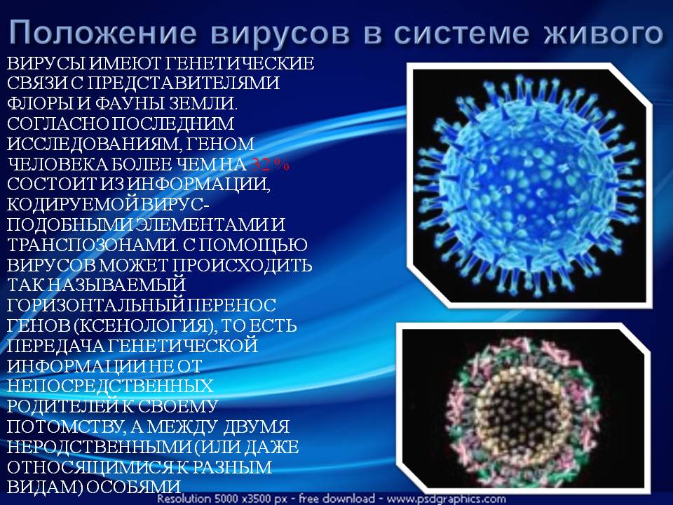 Вирус живущий в организме человека. Информация о вирусах. Вирусы биология. Виды вирусов. Вирусы это живые организмы.