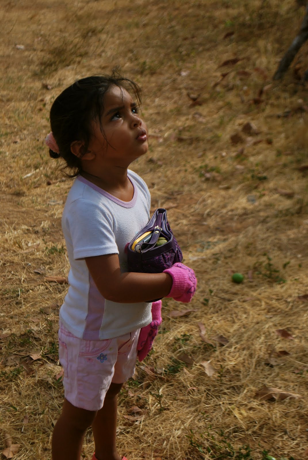 Tempest's Quest Peace Corps Panama Black in Panama