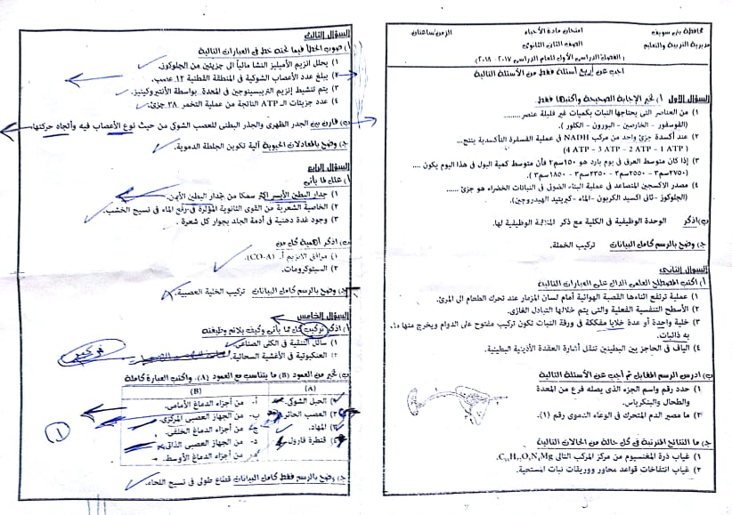 ورقة امتحان احياء الصف الثانى الثانوى الترم الاول 2018 ادارة بنى سويف ورقة امتحان احياء الصف الثانى الثانوى الترم الاول 2018 ادارة بنى سويف