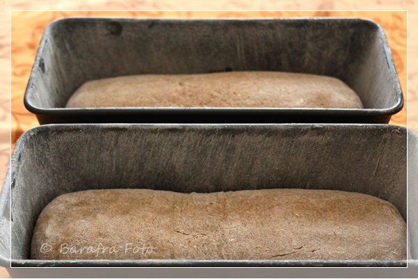 Roggenvollkornbrot mit Sauerteig und Sonnenblumenkernen – Schnelle Küche