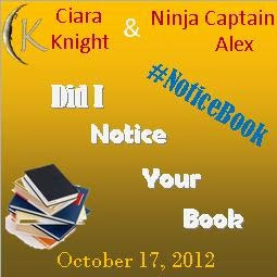 Did I Notice Your Book Blogfest