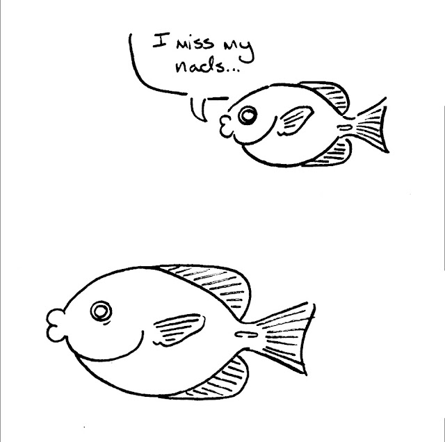 FishSchticks Fish Facts 2 Fish Balls