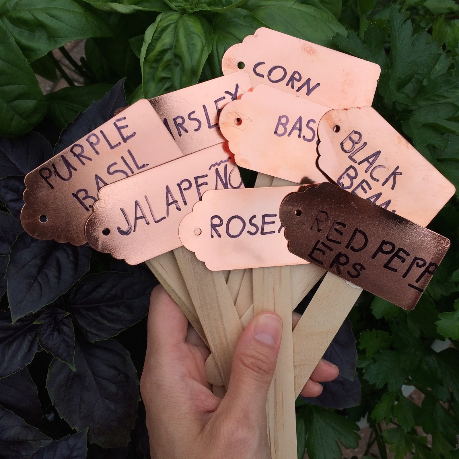 Make This Quick Copper Garden Markers Charisa Darling