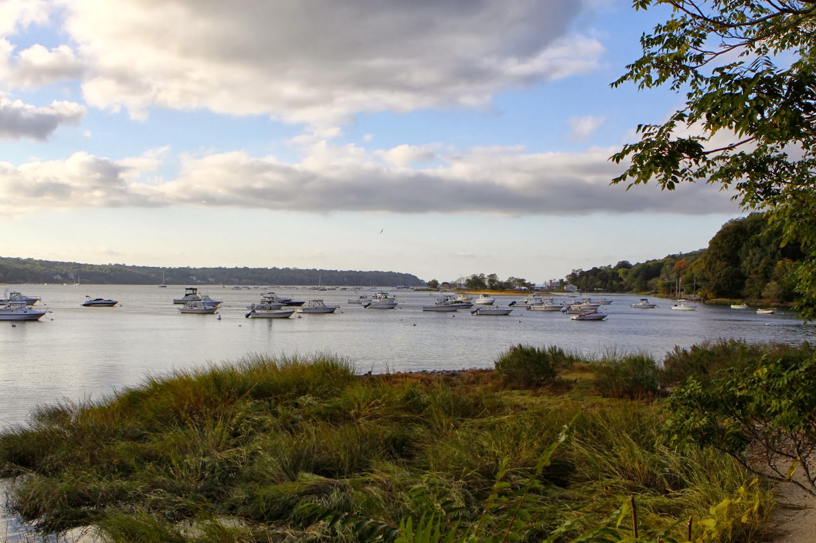 DaddyNoBucks Another 365 Challenge Cold Spring Harbor, NY