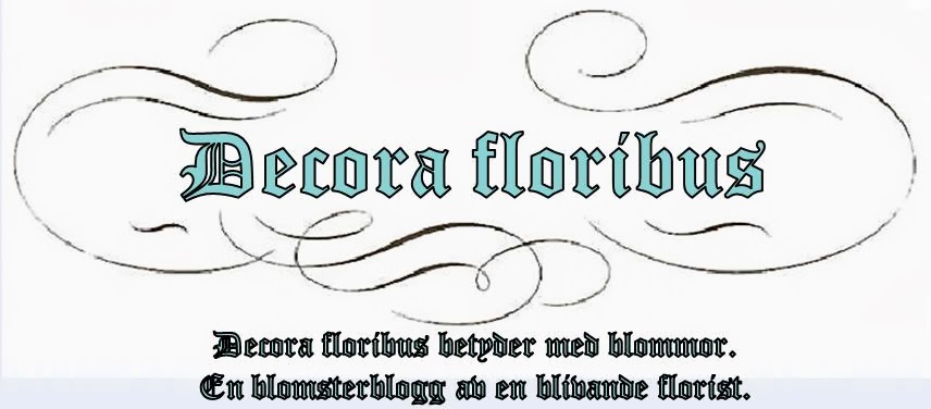 Decora floribus